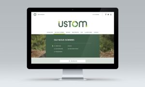 ustom-site-web-responsive